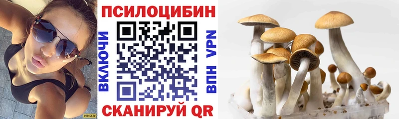 omg как войти  Иланский  Псилоцибиновые грибы MAGIC MUSHROOMS  цена наркотик 